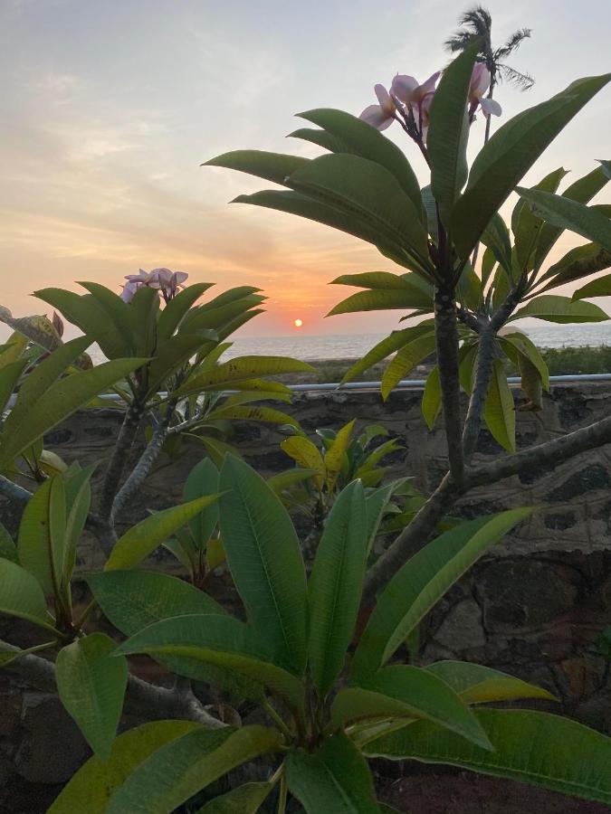 Hotel Spice Of Ceylon Chilaw Exterior foto